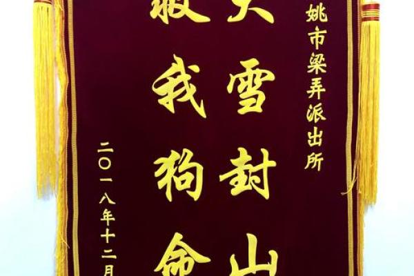 揭秘人封山虎命的奥秘与人生解析 揭秘人封山虎命的奥秘与人生解析