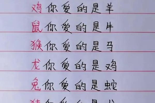 命和生肖：吴川人对命运的独特理解与生肖文化的交融