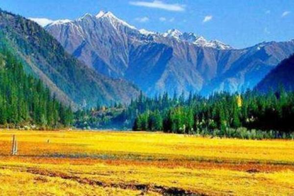 解密壬申官命：探寻命理中的水与金的奥秘与智慧