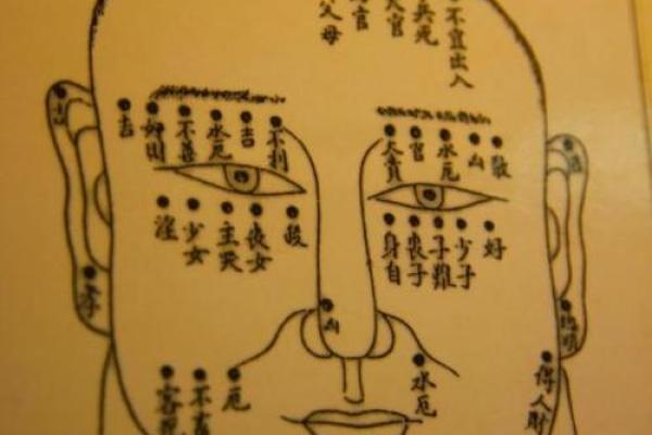 七杀格女命与紫薇、食神命格最佳配对解析 七杀格女命与紫薇、食神命格最佳配对解析