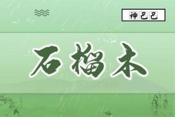 如何根据石榴木命选手机号,让你的生活更顺畅? 如何根据石榴木命选手机号,让你的生活更顺畅?
