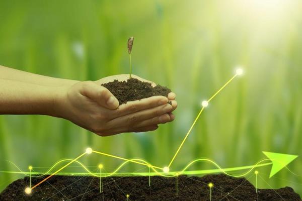 沙中金命与其他命相克的奥秘探讨