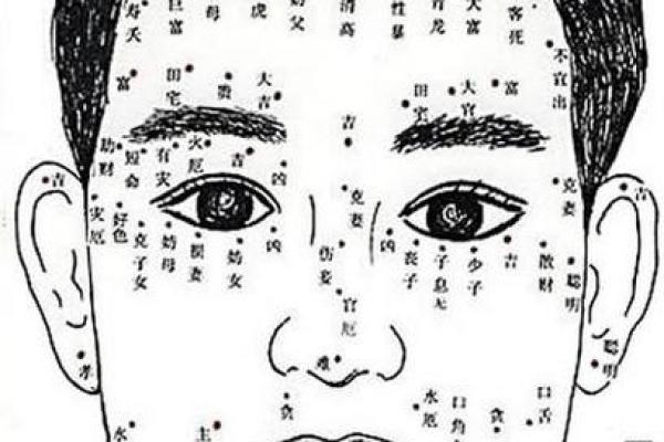 揭秘算命中的“男命”现象:传统文化的深层影响与理解 揭秘算命中的“男命”现象:传统文化的深层影响与理解