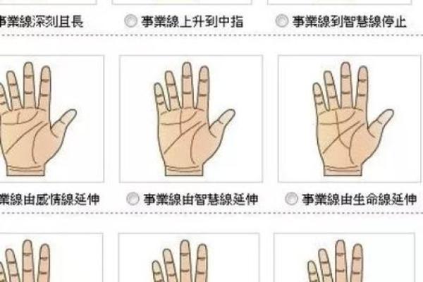 命运与算命：人类智慧能否精准捕捉未来？