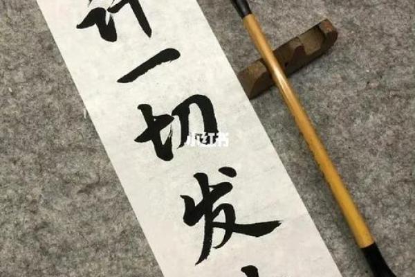 失之我命：从失落中重生的心态与启示