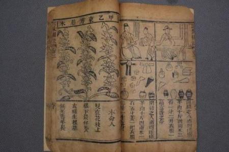 女木命如何选择理想的命伴侣？探寻命理之美