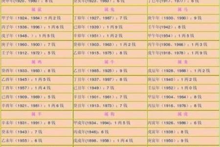 快速算命的方法与技巧，助你洞悉命运的奥秘！