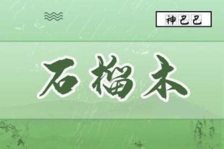 如何根据石榴木命选手机号，让你的生活更顺畅？