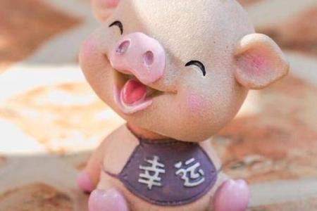 嗜酒如命的生肖：生肖猪的迷醉世界