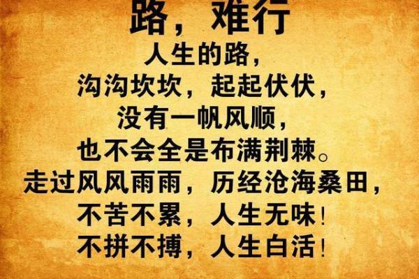 男人四两九钱的命运与人生轨迹探讨