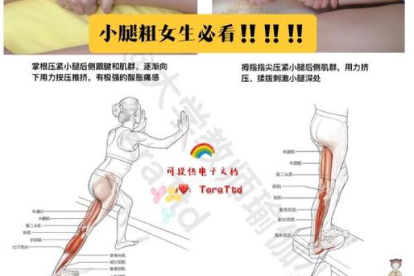 男人小腿粗的命理解析：你的小腿暗示了什么？