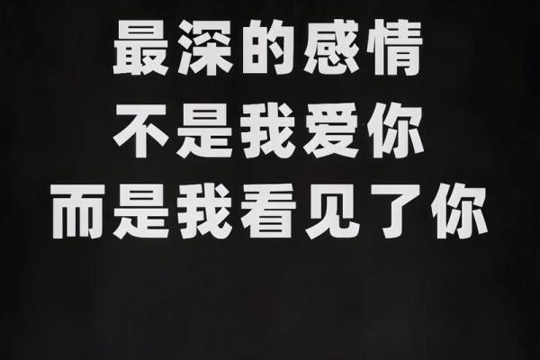 拼了命深爱过你:一段不可磨灭的情感旅程 拼了命深爱过你:一段不可磨灭的情感旅程