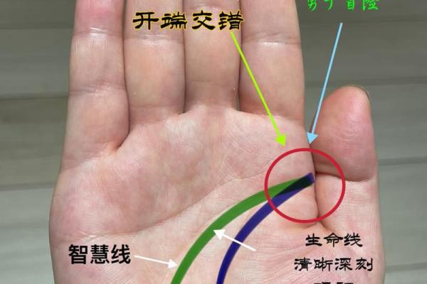 手相中的太阳线解析:揭示你的命运与成功之路! 手相中的太阳线解析:揭示你的命运与成功之路!