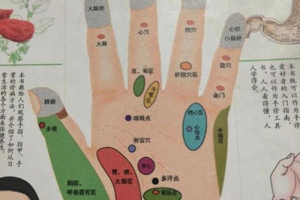 手相中的太阳线解析:揭示你的命运与成功之路! 手相中的太阳线解析:揭示你的命运与成功之路!