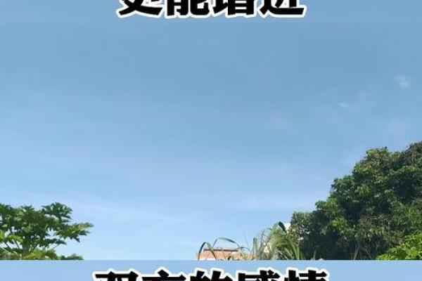 如何提升夫妻桃花运，增进感情的秘密分享