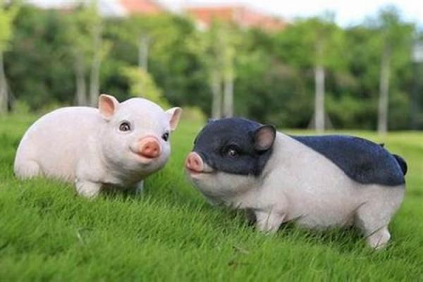 解读生肖属相与木命：如何让你的生活更具生机与活力