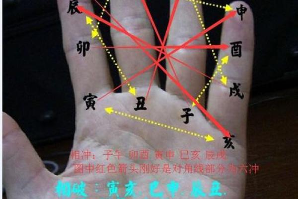 解析八字:如何判断女性命中的长寿与青春之秘 解析八字:如何判断女性命中的长寿与青春之秘