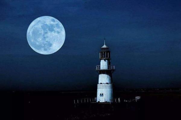 千金难买四两命:生命的价值与珍贵 千金难买四两命:生命的价值与珍贵