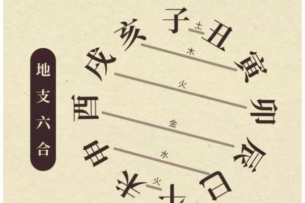 火命与水命的相克之谜:家庭和谐的火与水对决 火命与水命的相克之谜:家庭和谐的火与水对决