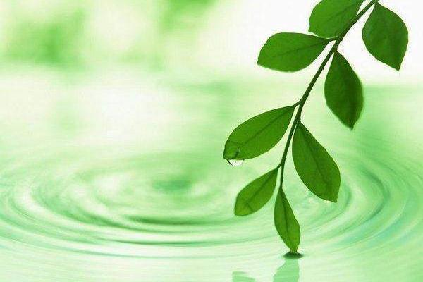 农历八月八日出生的人命运解析：与众不同的生命轨迹