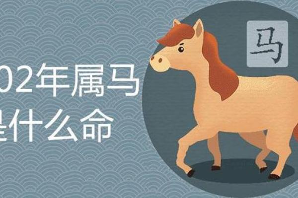 年甲与年命的奥秘:谁才是真正的命运主宰? 年甲与年命的奥秘:谁才是真正的命运主宰?