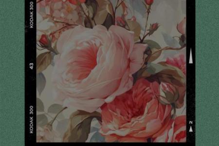 适中如命：在生活与工作之间的平衡艺术