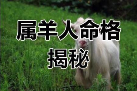 属羊红鸾桃花入命，揭秘爱情与运势的奇妙关系