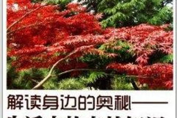 救命的秘密：身边那些我们常忽视的东西