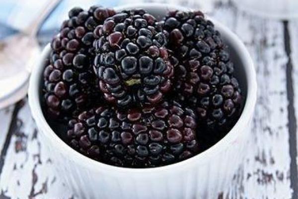 深入了解维生素B族：健康与活力的源泉