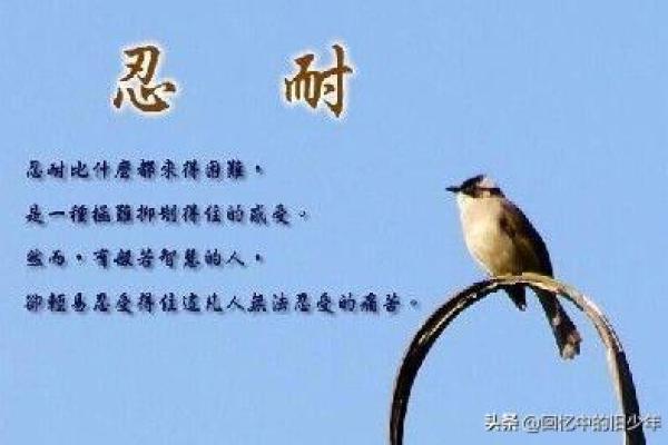 属蛇的命理揭秘：五行属性与人生智慧的奥秘