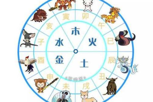 十二生肖水命:命理揭秘与克制之道 十二生肖水命:命理揭秘与克制之道