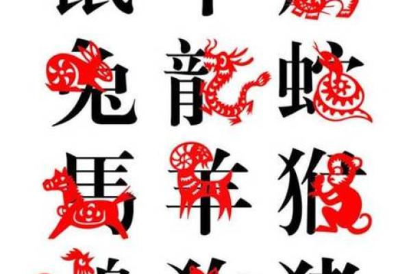 十二生肖水命:命理揭秘与克制之道 十二生肖水命:命理揭秘与克制之道