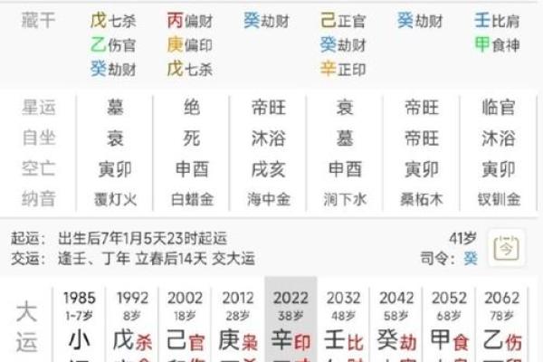 壬子月出生的人命运解析:适合的职业与生活建议 壬子月出生的人命运解析:适合的职业与生活建议