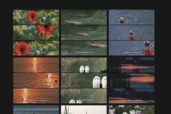 时运泰命：探寻命理中的幸福与成功之道