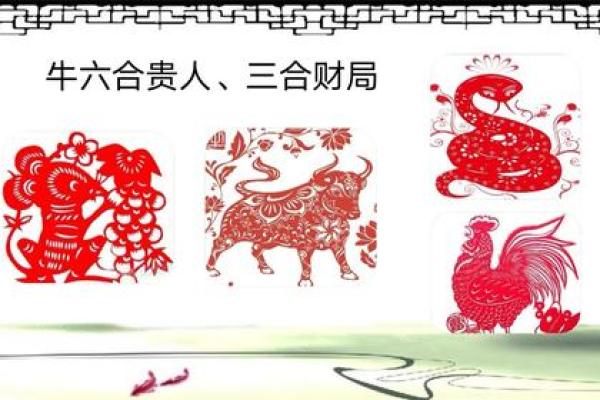 女人1993属鸡的命运与人生智慧探讨 女人1993属鸡的命运与人生智慧探讨