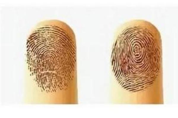 手背小酒窝：揭示你命运的小秘密