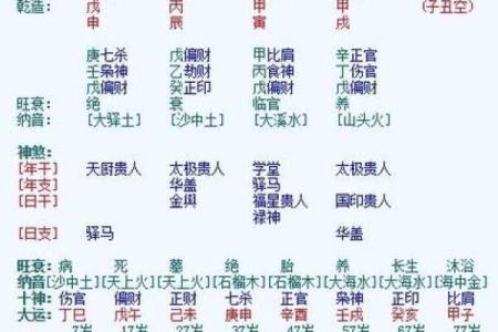 什么是命格强硬命？探究其背后的深意与影响