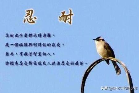 属蛇的命理揭秘：五行属性与人生智慧的奥秘