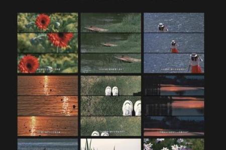 时运泰命：探寻命理中的幸福与成功之道