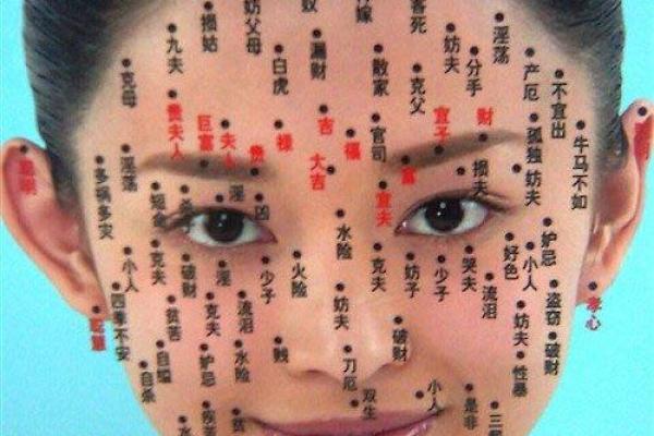 女命守空房的含义与解读：揭示女人命运的秘密