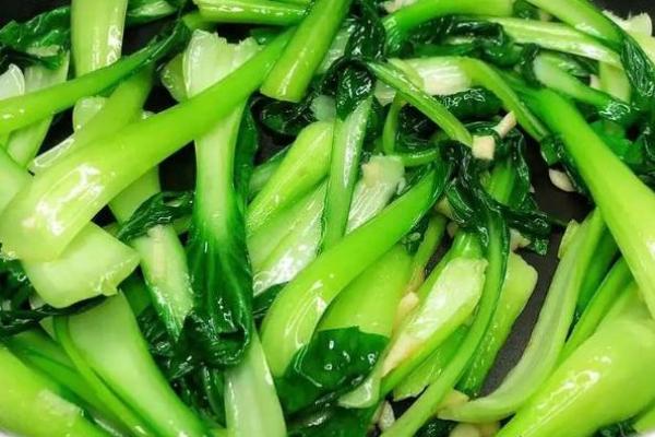 青菜组合的艺术:打造健康美味的菜肴新体验 青菜组合的艺术:打造健康美味的菜肴新体验