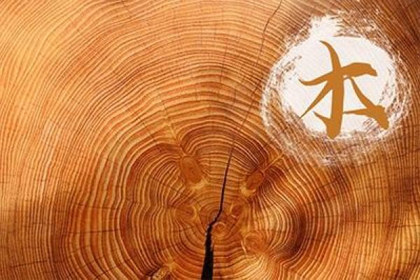 木命与其他命型的最佳配合解析：寻找命理中的完美搭档