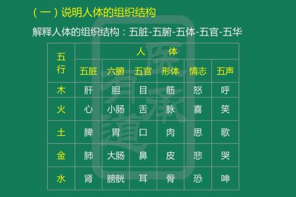 桑椹木命与五行相生:寻找最合适的命理搭配 桑椹木命与五行相生:寻找最合适的命理搭配