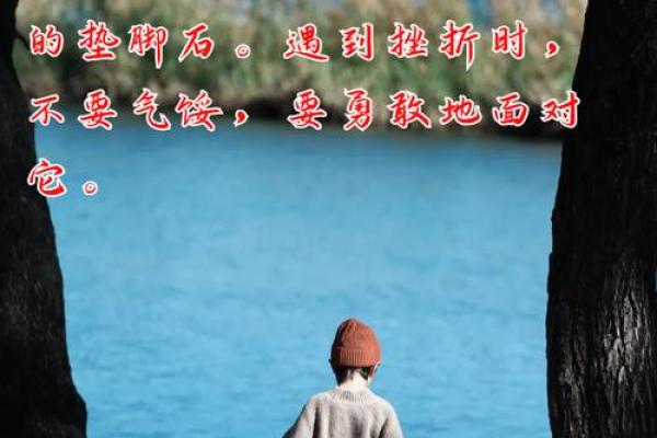 凭什么我的命就这么苦?探索生活中的挫折与希望 凭什么我的命就这么苦?探索生活中的挫折与希望