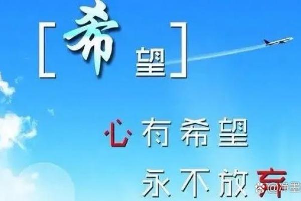 凭什么我的命就这么苦?探索生活中的挫折与希望 凭什么我的命就这么苦?探索生活中的挫折与希望