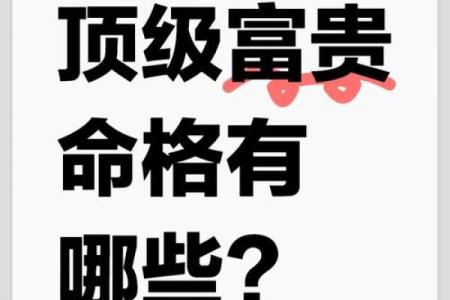 属木命的人与其他命格的最佳搭配分析
