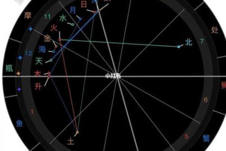 十月命格解析：探索深秋之月的属性与内在机遇