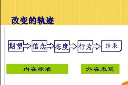 什么样的命格适合进入律师行业？探寻成功法则与内在素质