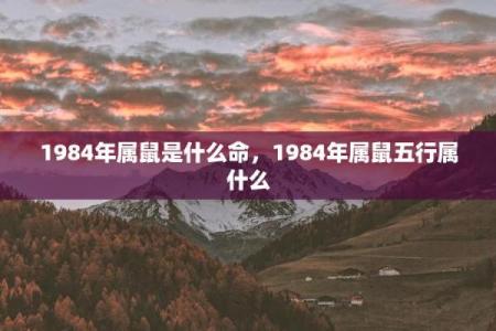 十月属鼠的命运解读：好运与挑战并存的生活旅程