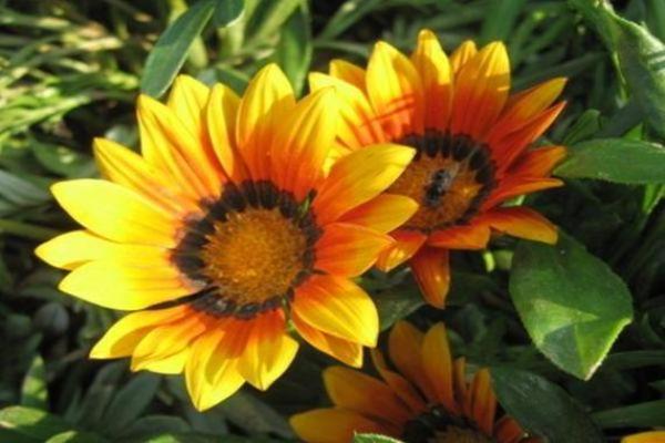 揭秘年龄增长与命格之间的微妙联系,如何让人生越来越好! 揭秘年龄增长与命格之间的微妙联系,如何让人生越来越好!